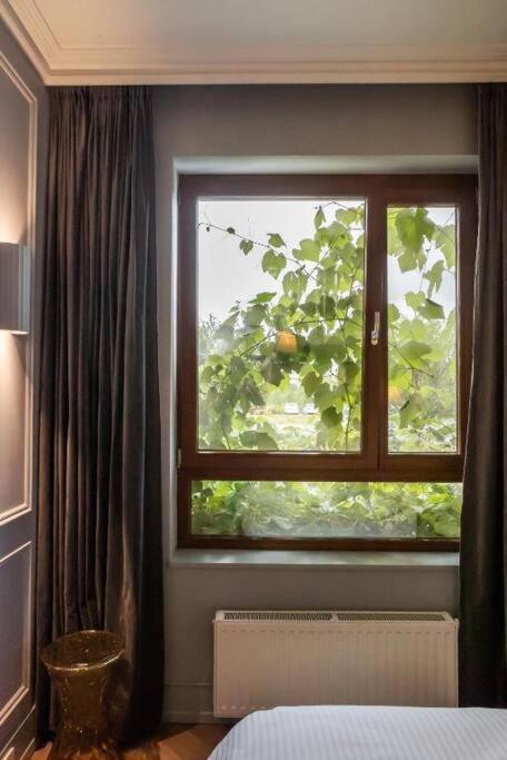 Luxury Garden Apartment