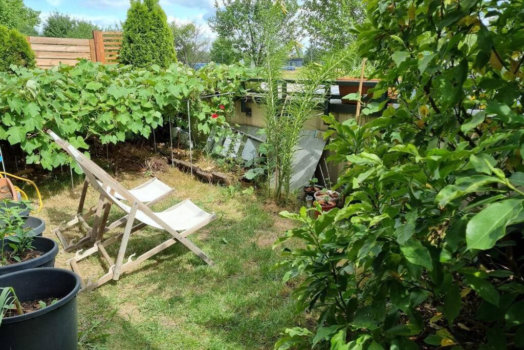 Apartment Luxury Garden *